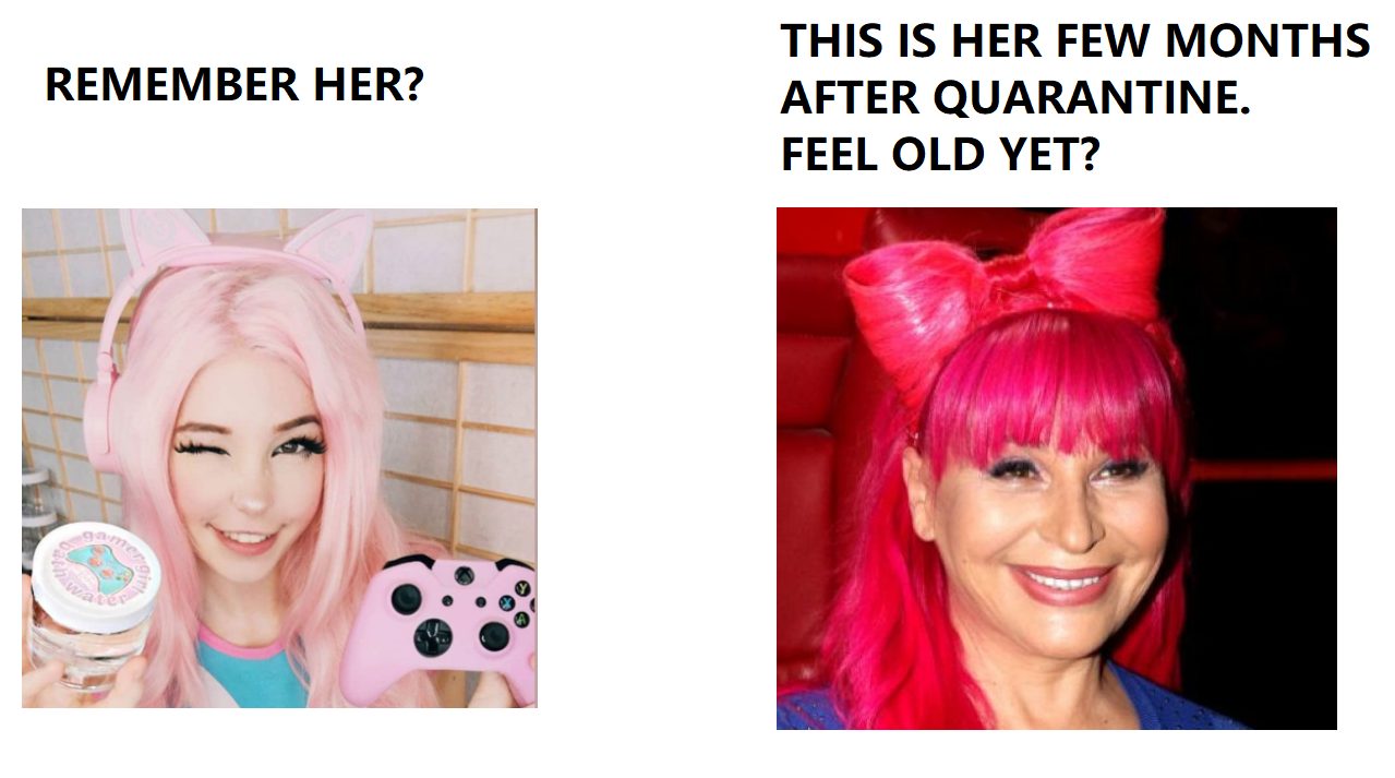 налсовна слика