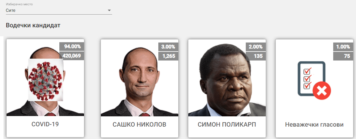 налсовна слика