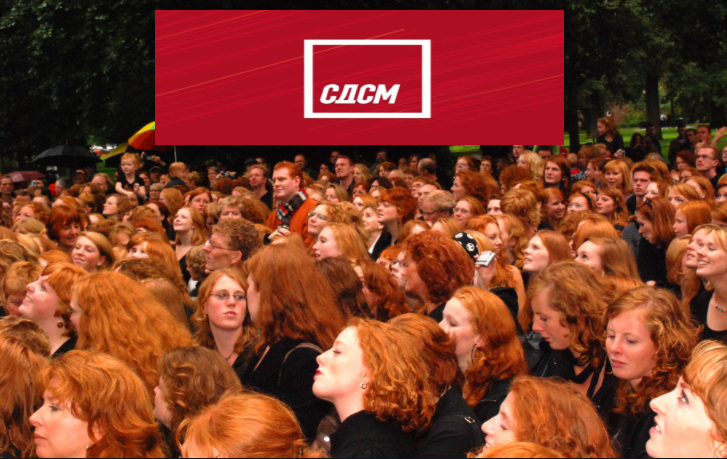 налсовна слика