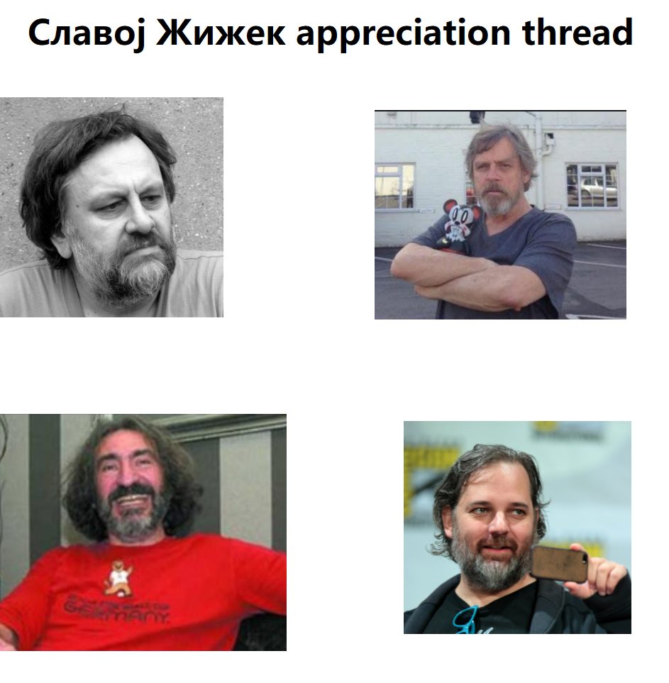 налсовна слика