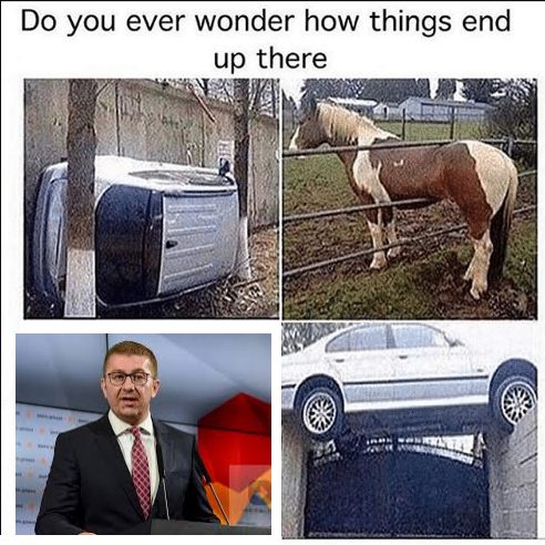 налсовна слика