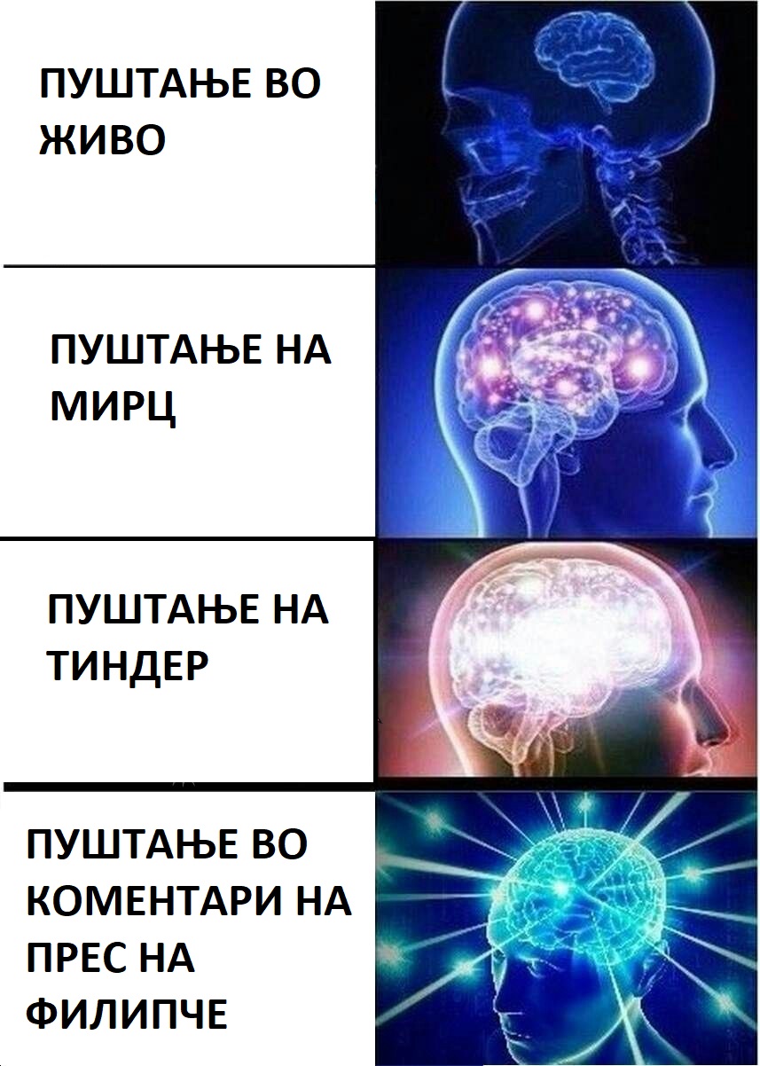 налсовна слика
