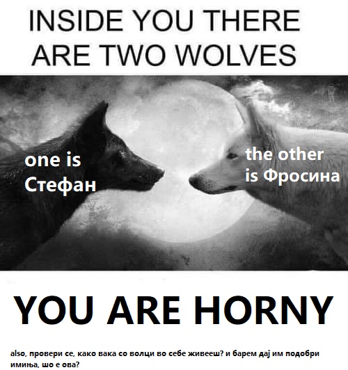 налсовна слика