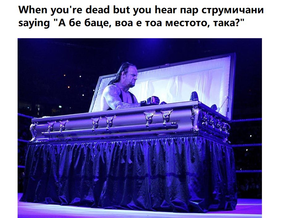 налсовна слика