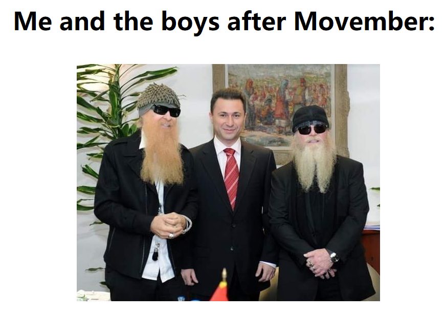 налсовна слика