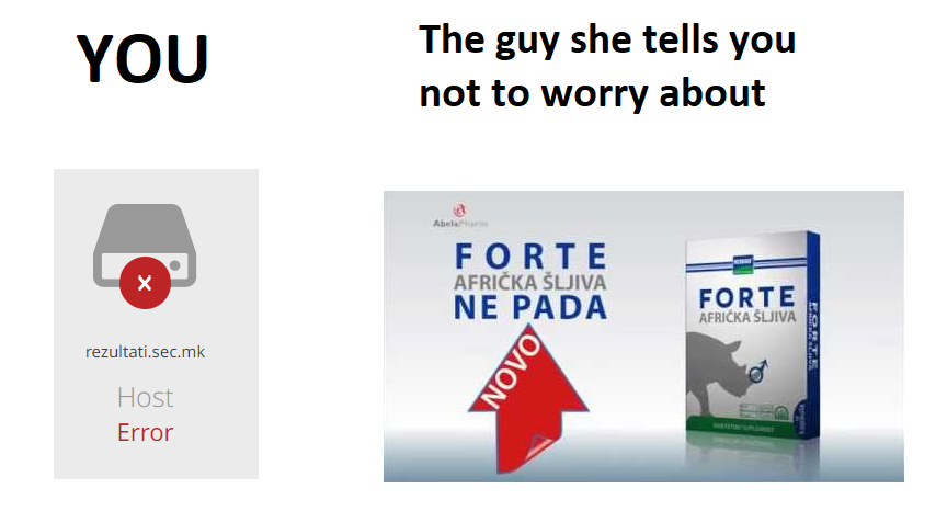 налсовна слика