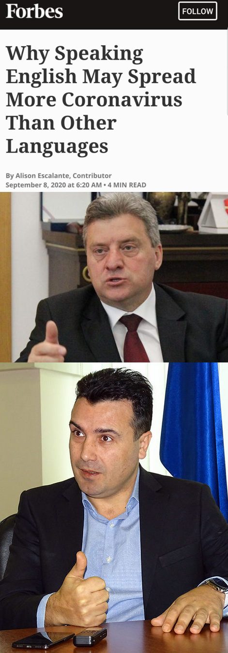 налсовна слика