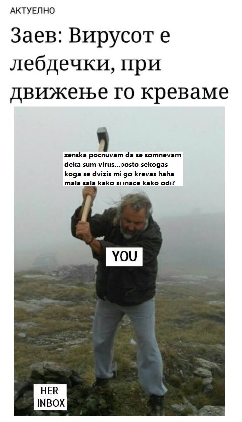 налсовна слика