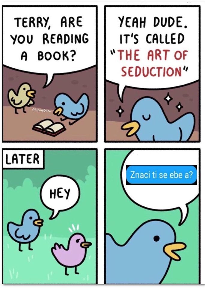 налсовна слика